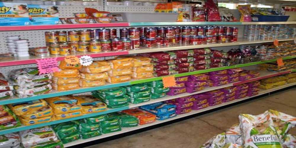 Your Dog's Diet Canned Dog Food Vs. Dry Kibble