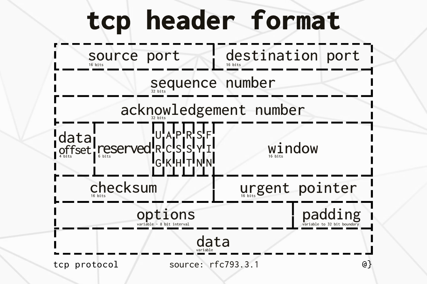 Transmission Control Protocol (TCP) The 'Backbone' of Communications αlphαrithms