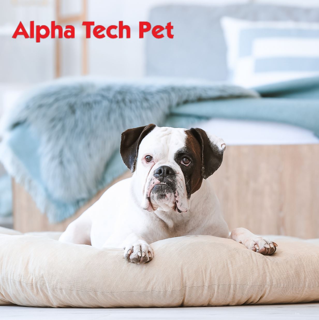 Keep Your Pets Laundry Clean and Safe