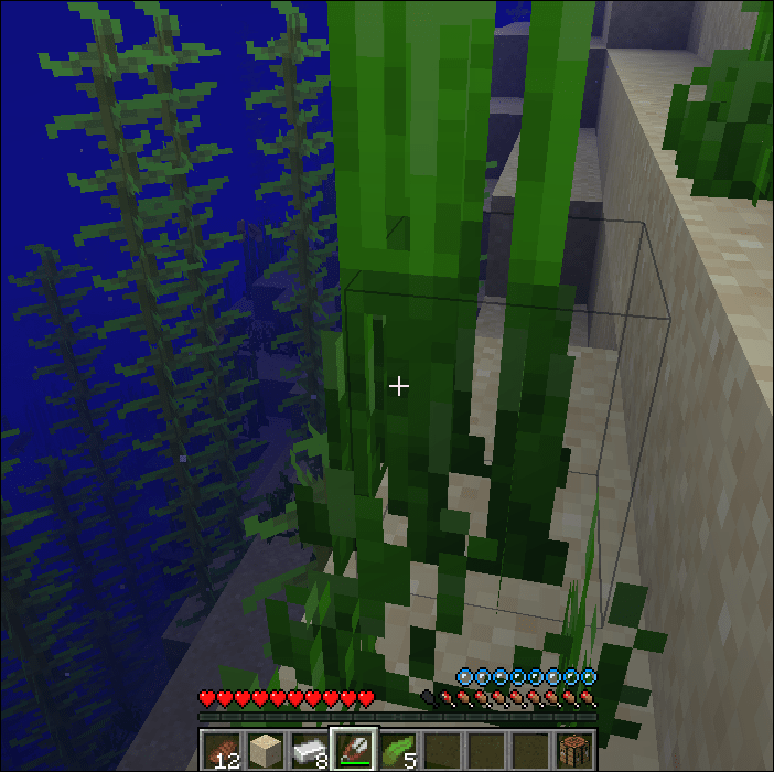 what do baby turtles eat in minecraft Elate Blogger Photogallery