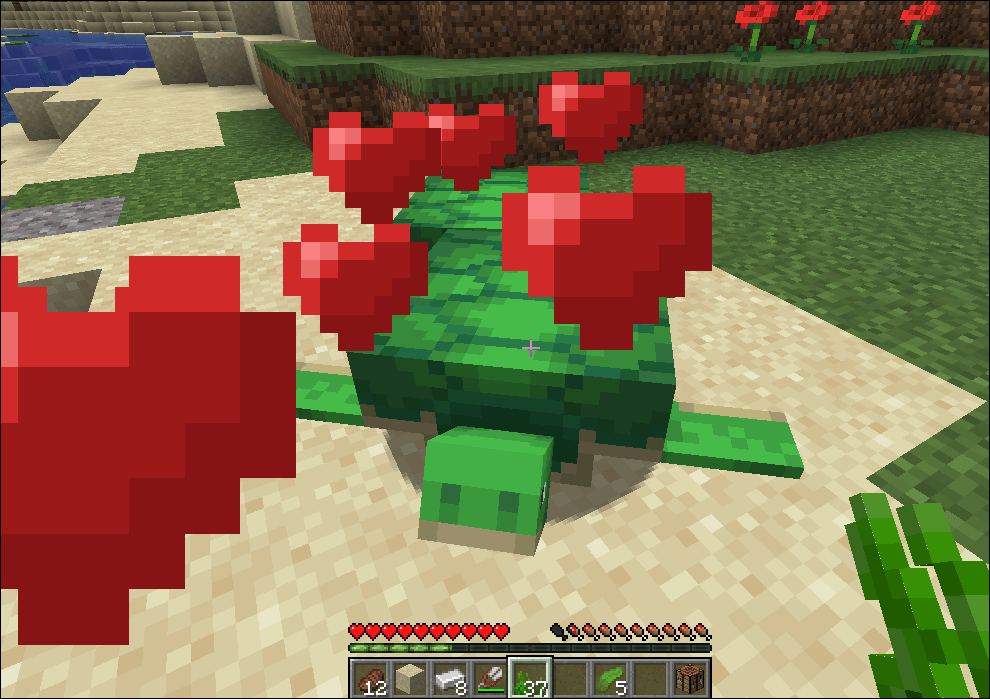 what do baby turtles eat in minecraft Elate Blogger Photogallery