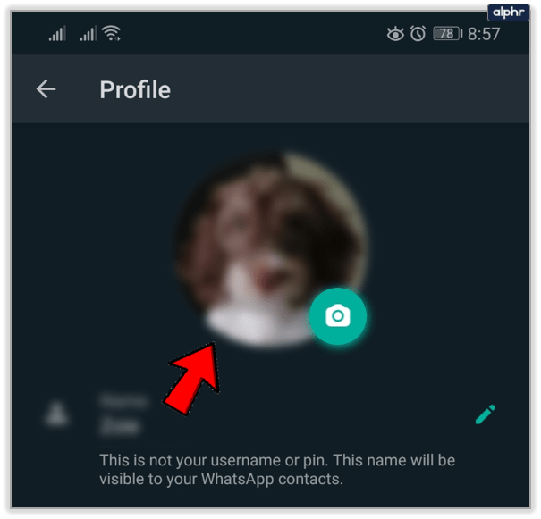 Whatsapp Default Profile Picture