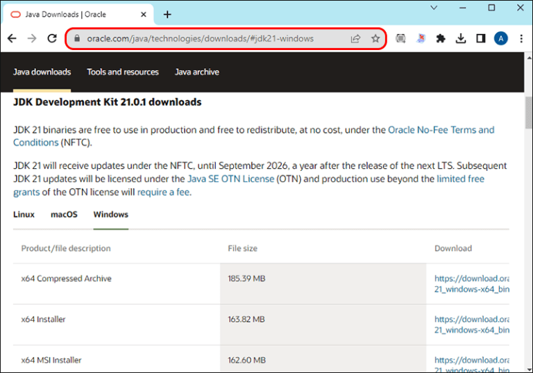 How to Fix a JNI Error in Minecraft