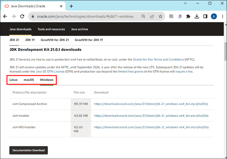 How to Fix a JNI Error in Minecraft