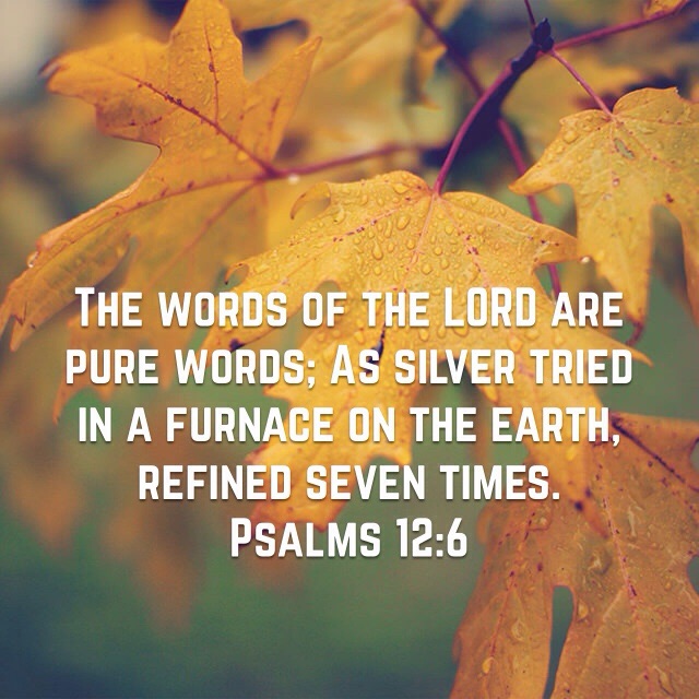 Psalm 12 Pure Promises Alpine Bible