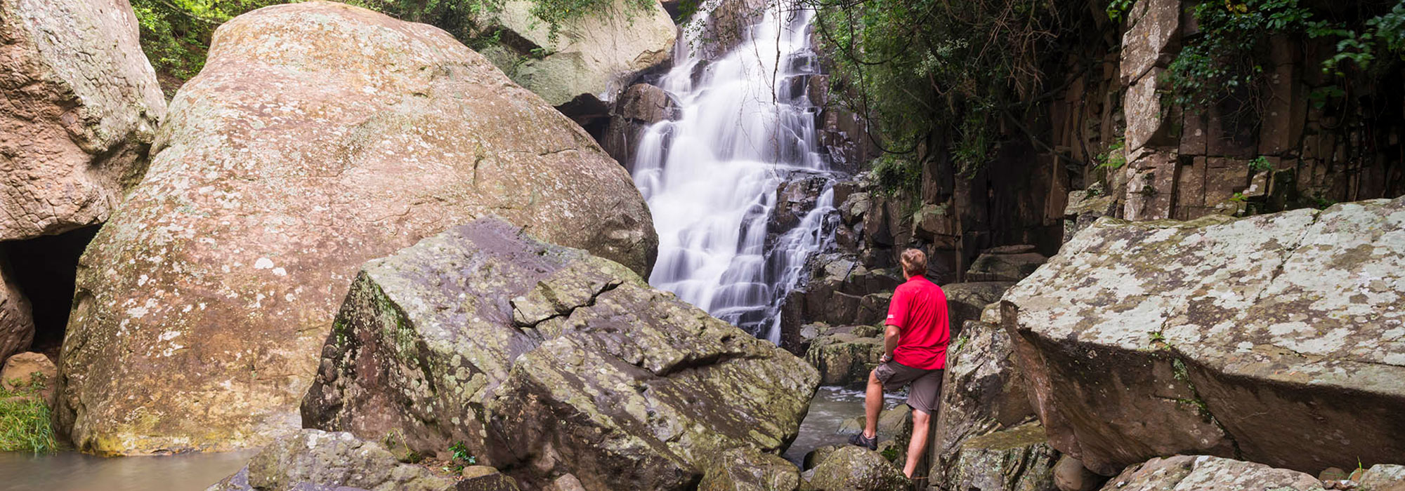 Activities Alpine Heath