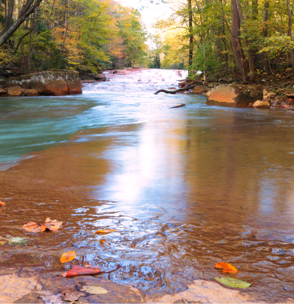 Alpine Lake Vacations & Sales 2024