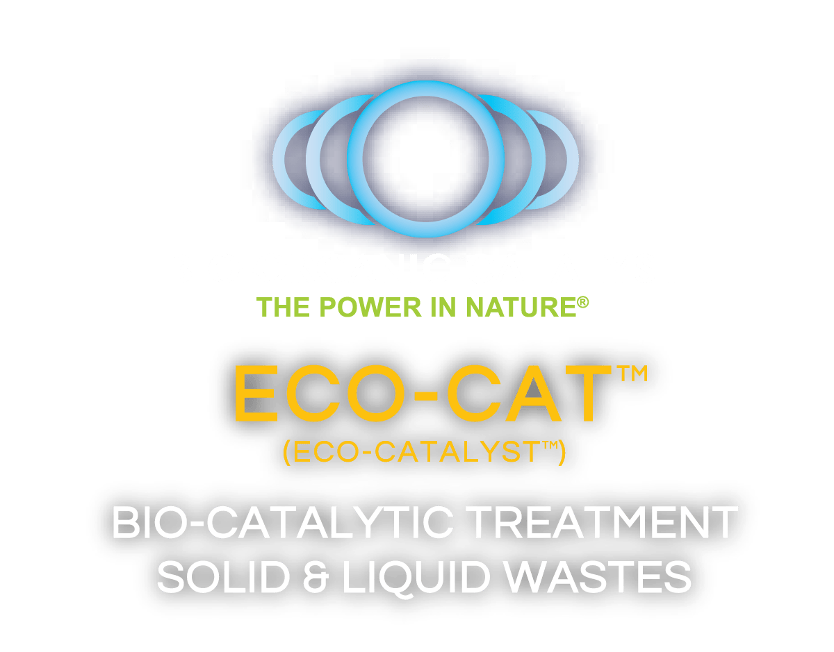 Eco Cat Alps Ecoscience