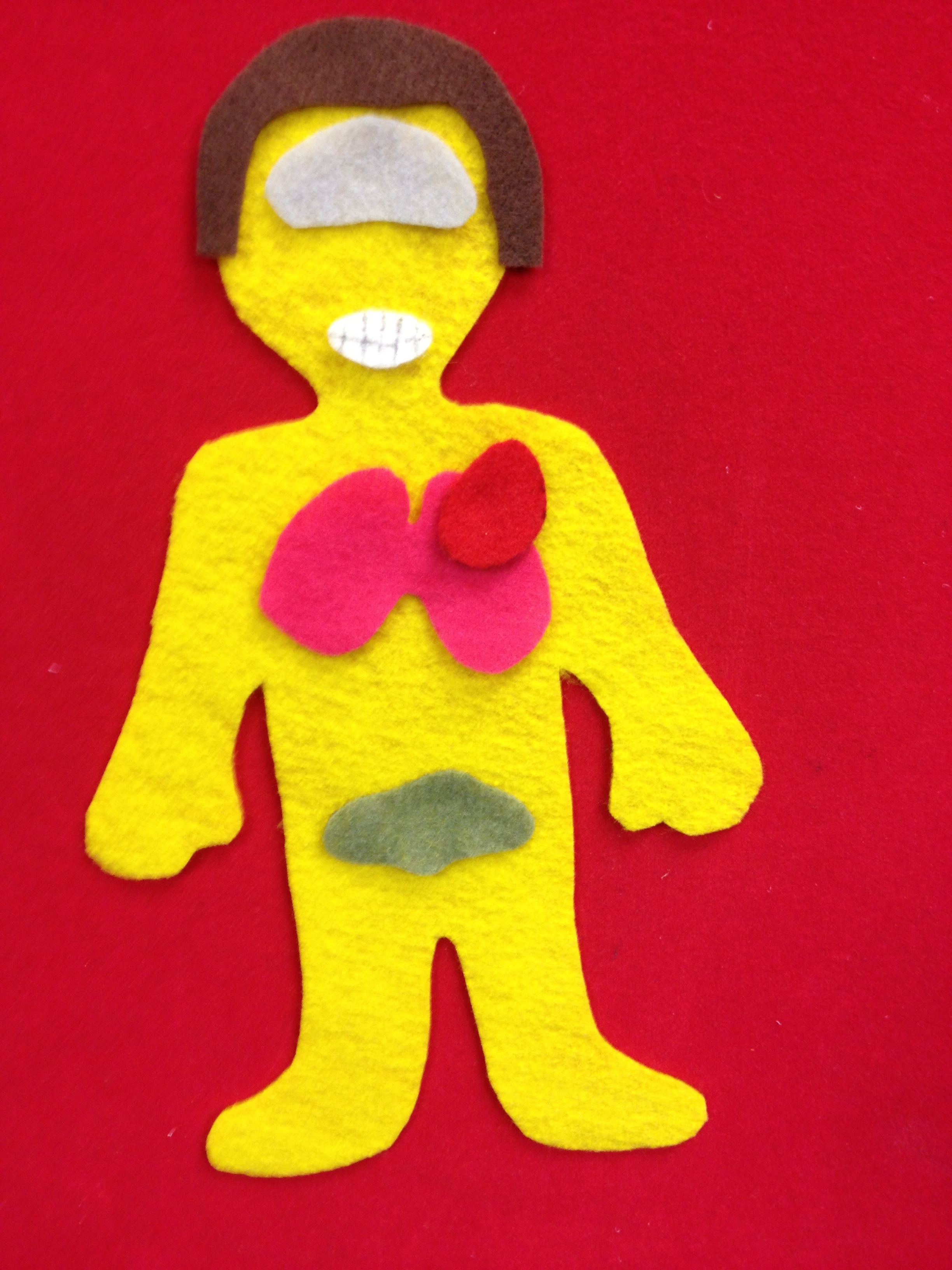 Body Science for Preschoolers Using our brains to learn about our