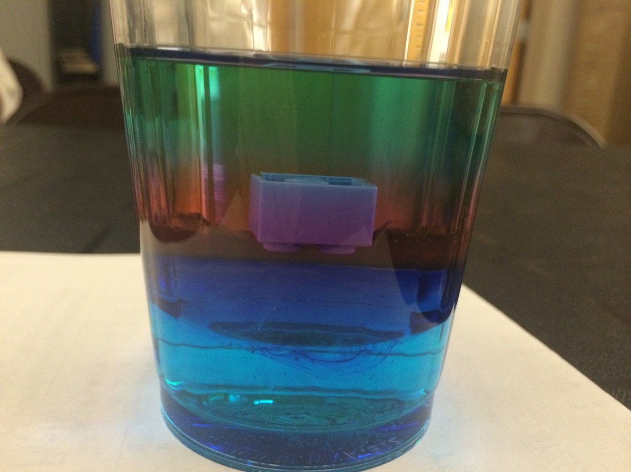 Learning about density, we found that LEGO blocks are denser than