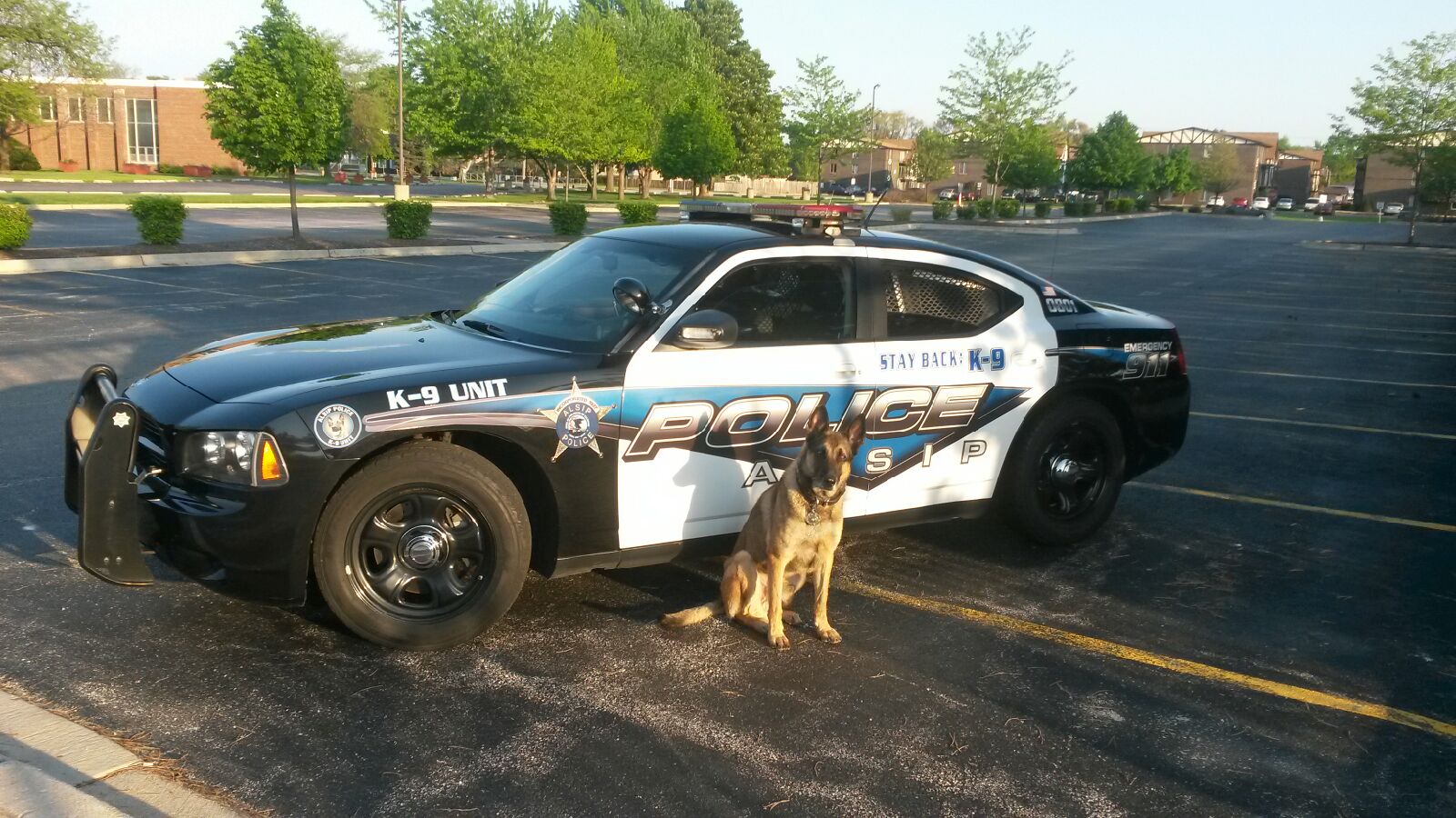 K9