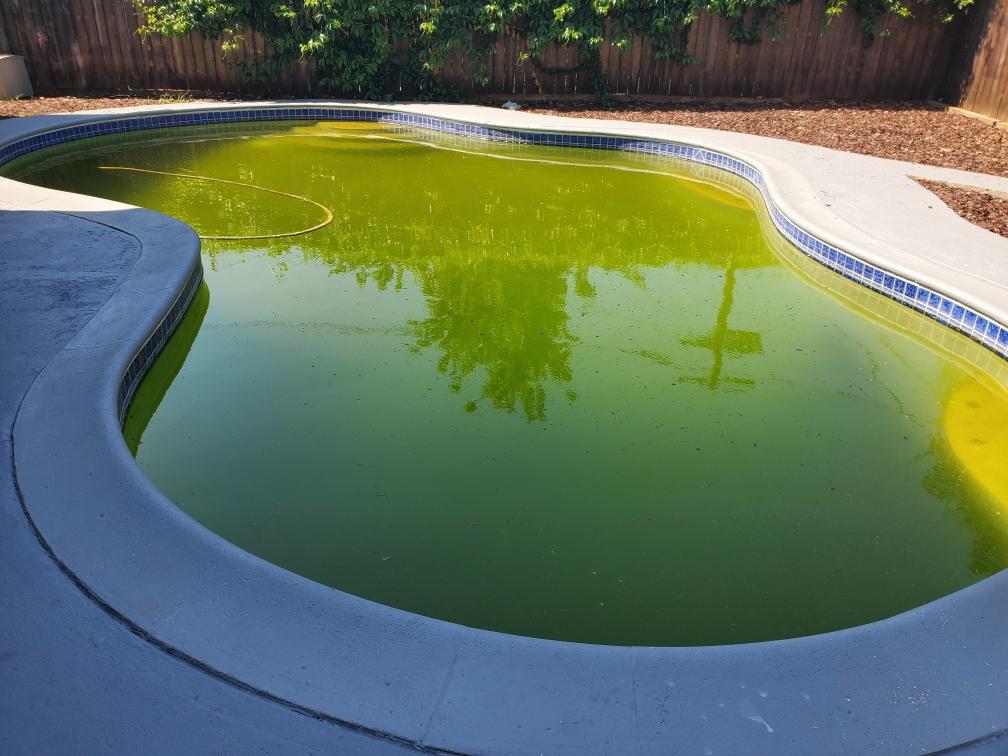 La Mesa Pool Maintenance Pool Services Pool Repair
