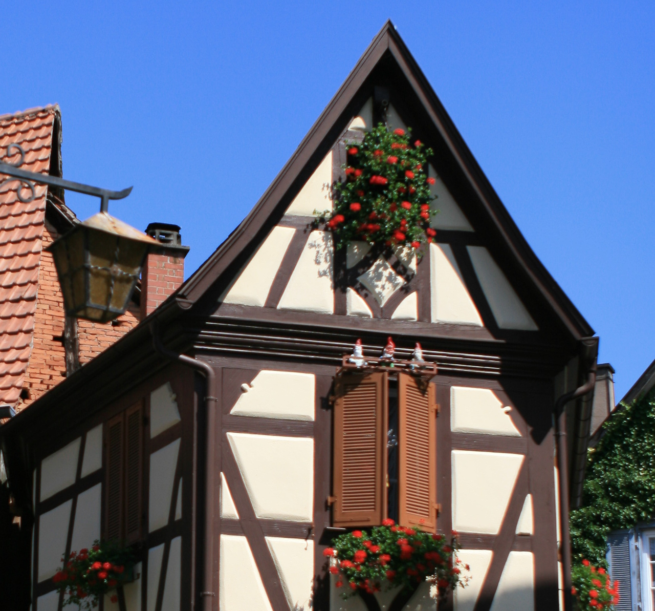 AltRufenhof Umgebung Ferien auf dem Bauernhof