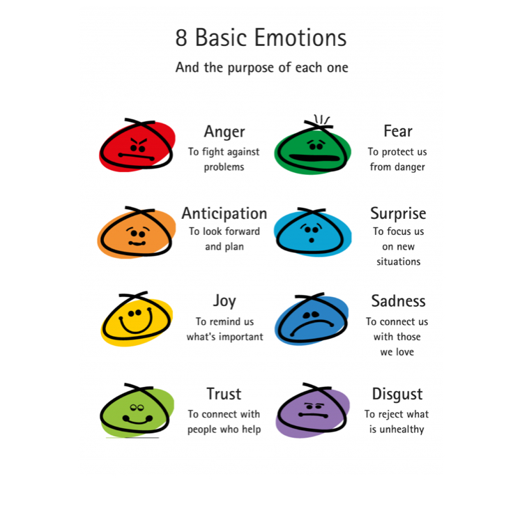 Understanding Emotions Altasano