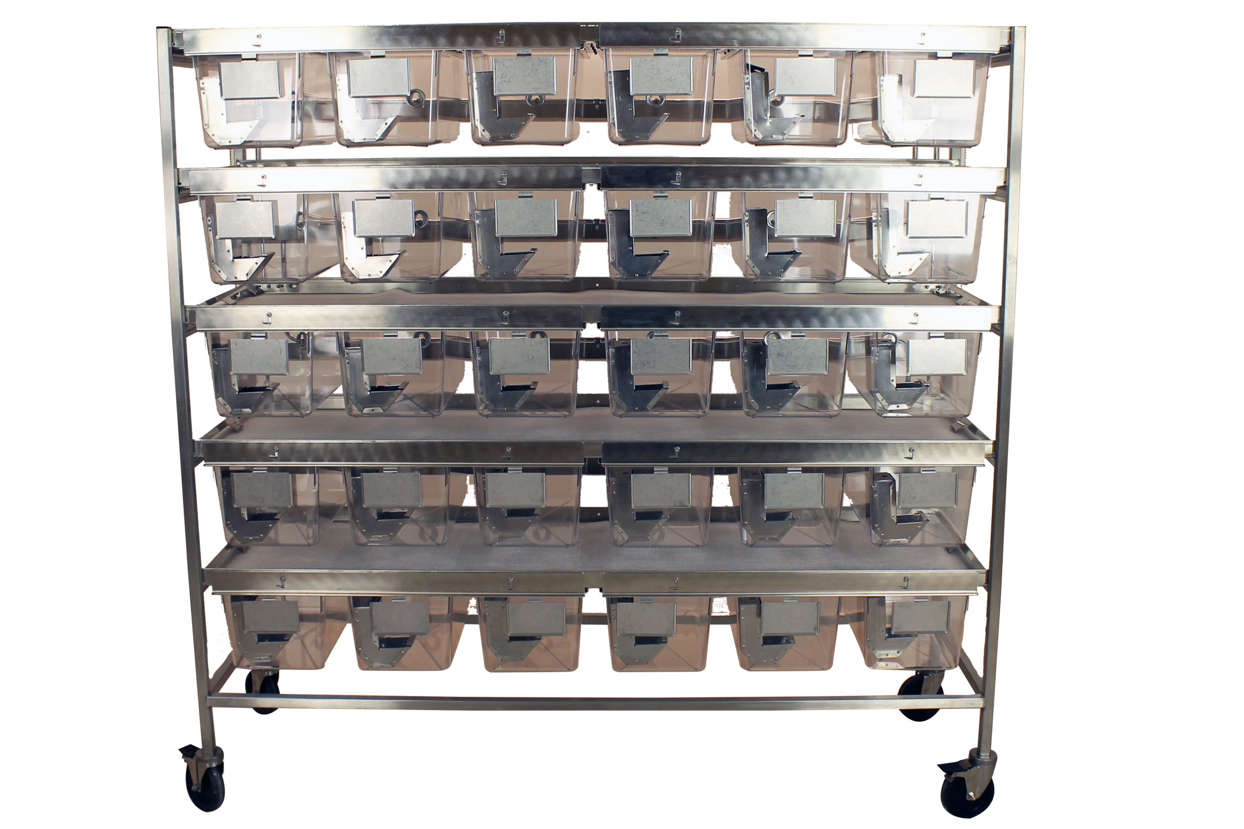 Rat Suspended Shelf Rack System