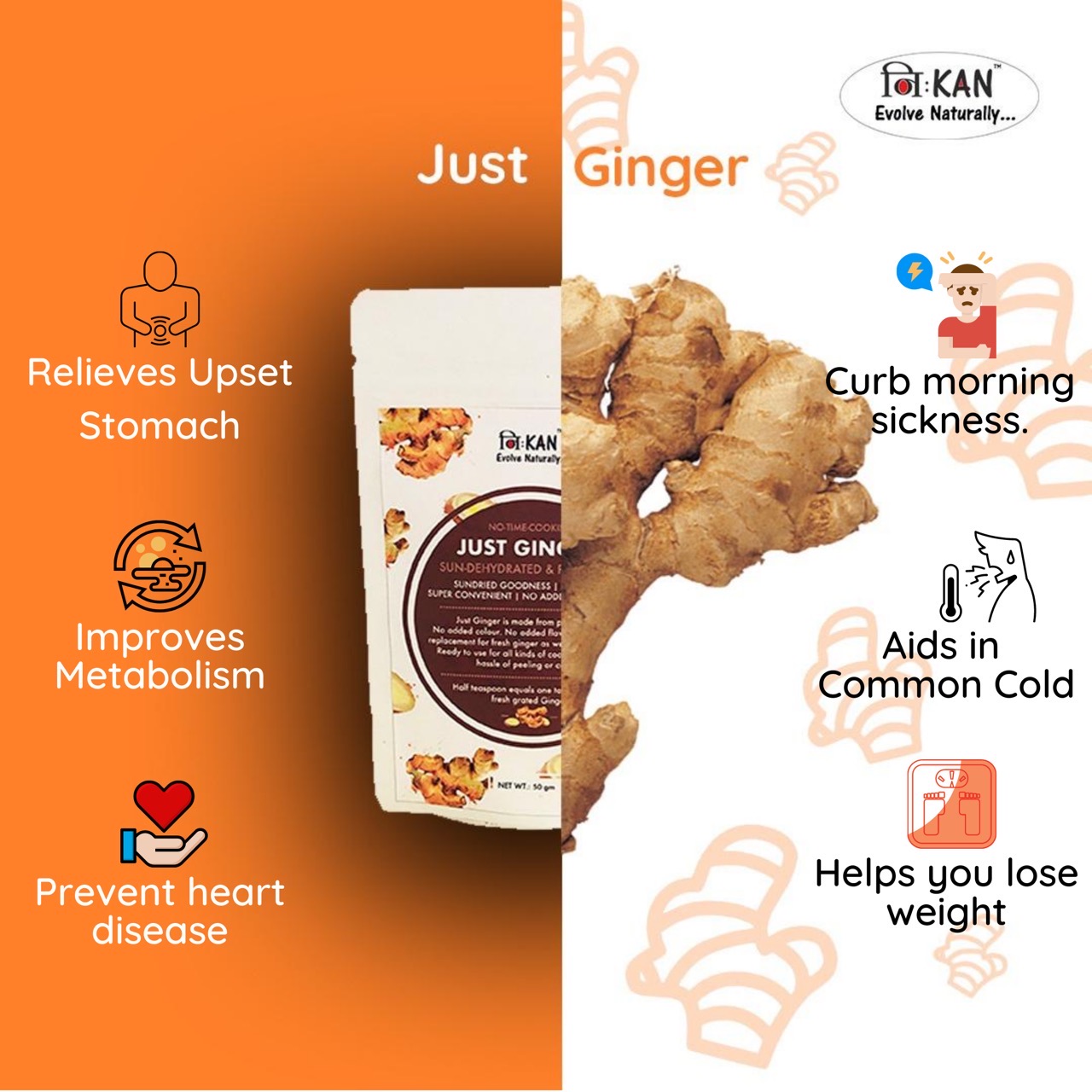 Sun Dehydrated Ginger Powder AlterLyfe