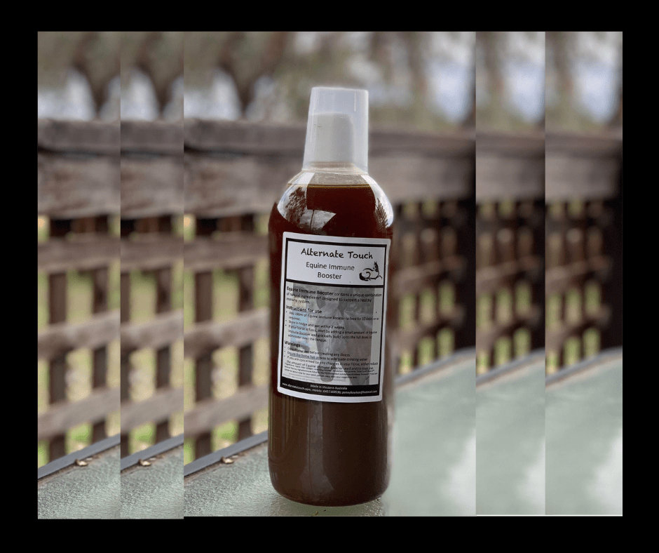 Equine Immune Booster