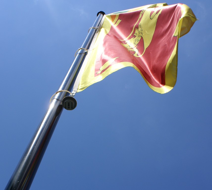 Fahnen auf Demonstrationen so zeigt man auch Flagge Aluart AG