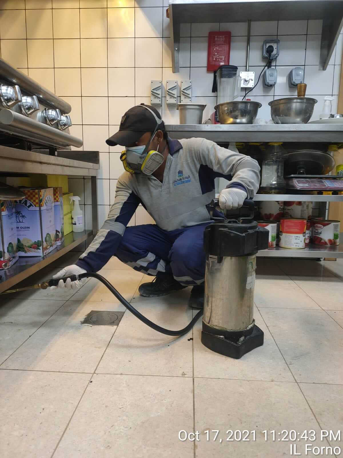 Best Pest Control Service in Jumeirah Dubai Al Waha Hygiene