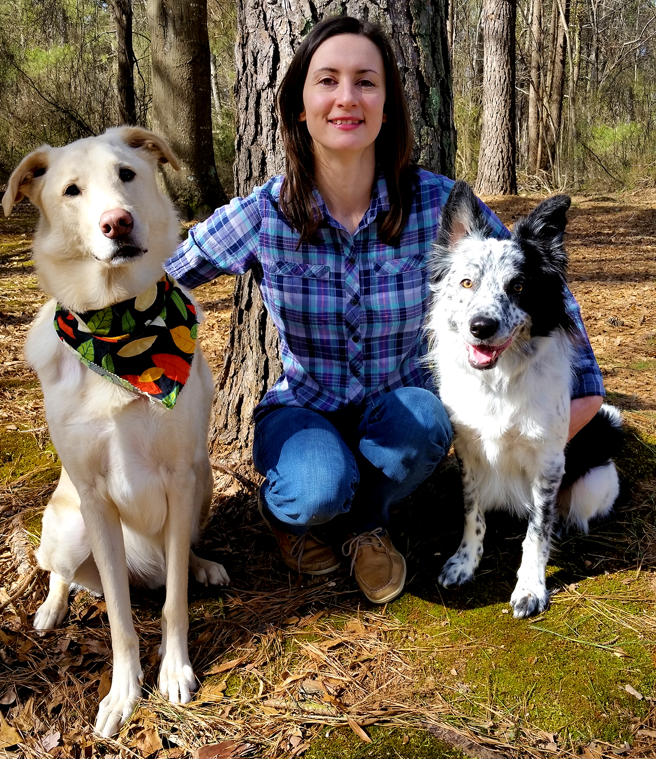 AlwaysPawsitive_DogTraining_Raleigh Always Pawsitive Dog Training