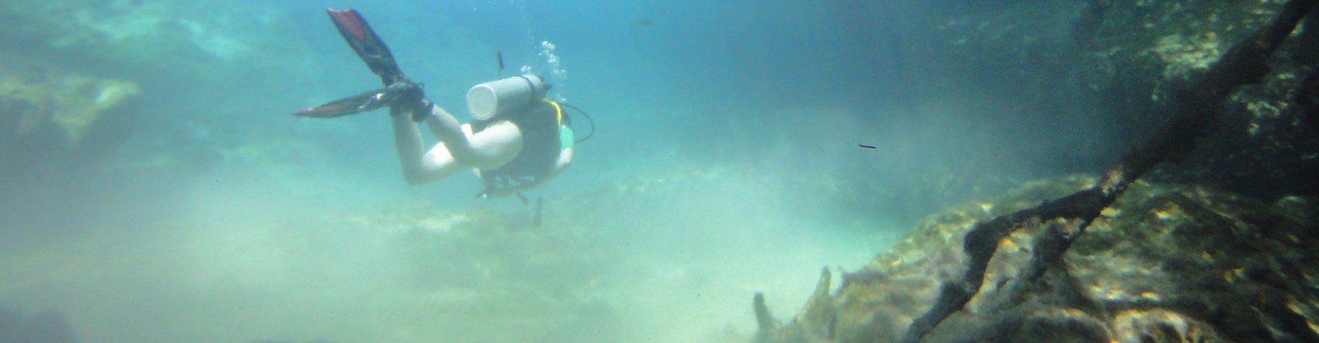 Blue Fin Dive Center