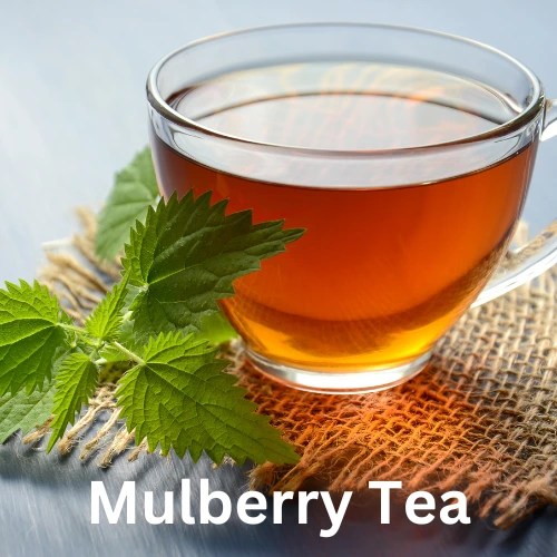 How to Make Mulberry Leaves Tea AlzheimersLab