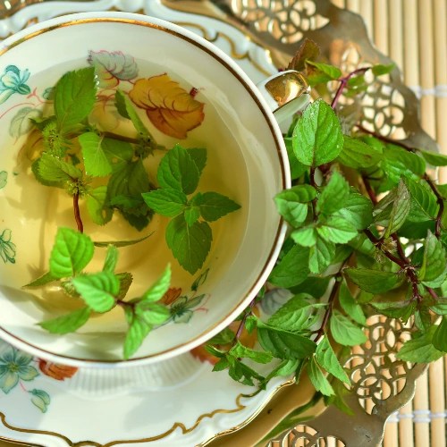 Does Peppermint Tea Have Caffeine? AlzheimersLab