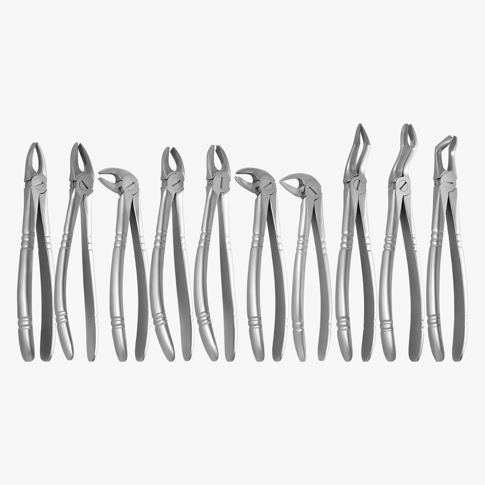 Dental Extraction Forceps