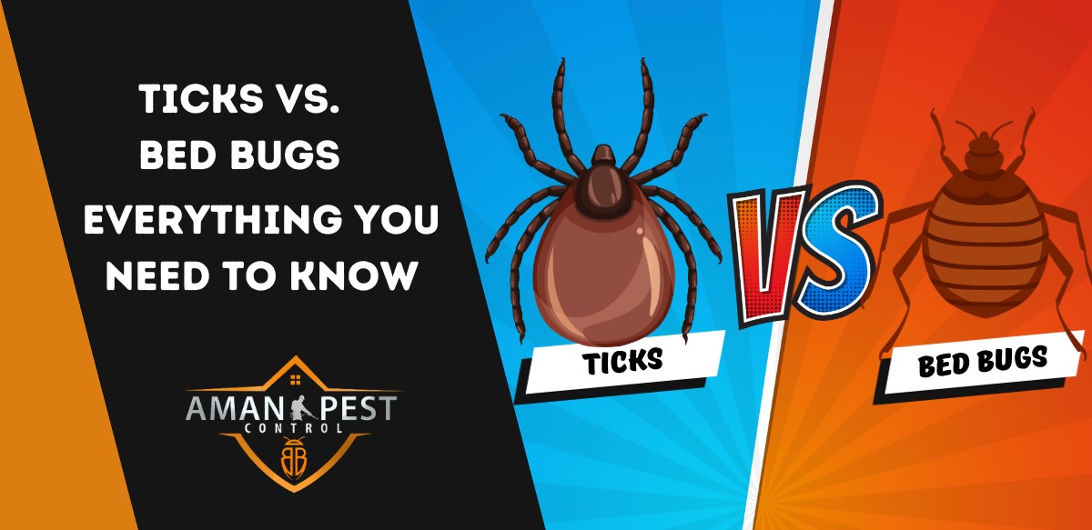 What's the Difference Between Ticks vs Bed Bugs? Aman Pest Control