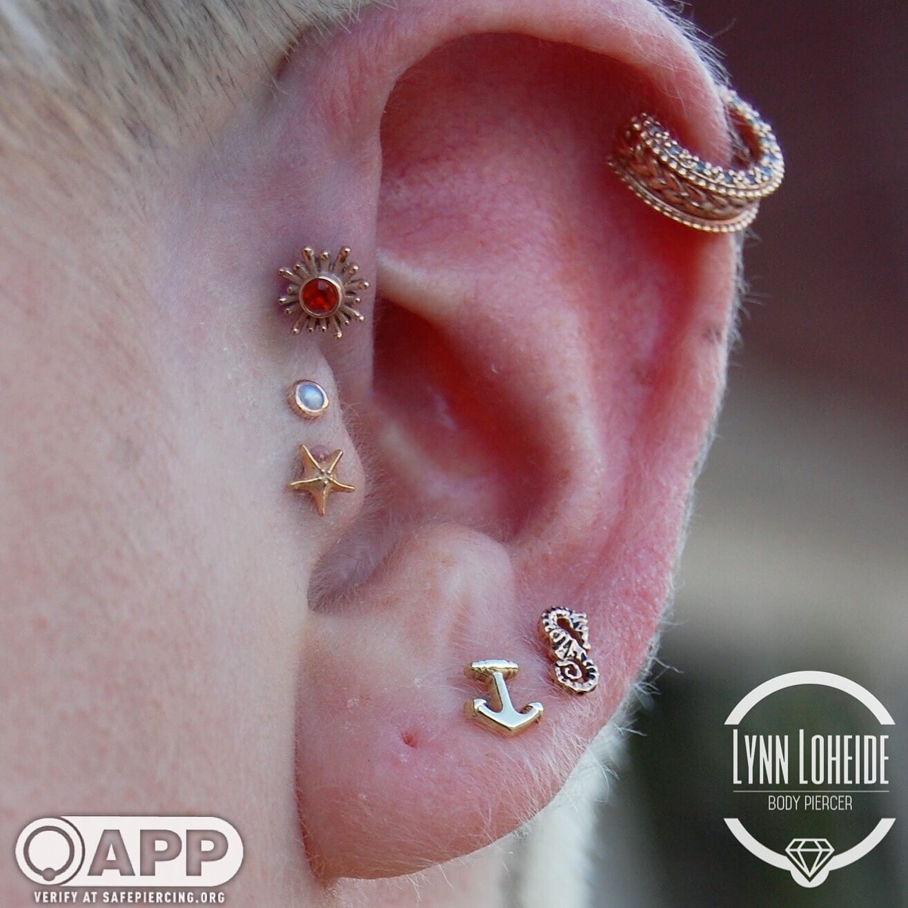 Tragus Amato Fine Jewelry & Body Piercing