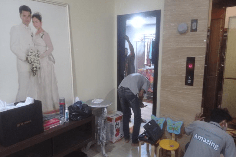 Our Services Amazing Termite & Pest Control Yangon, Myanmar