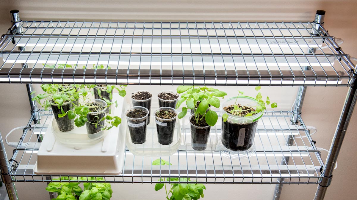 Complete DIY Guide to Build Indoor Grow Light and Seed Starting System