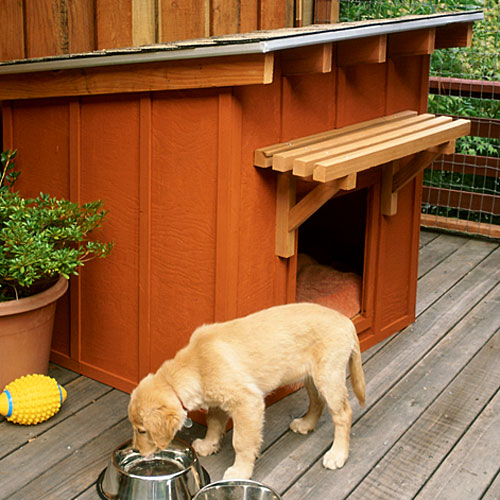 10 Creative Dog House Design Ideas