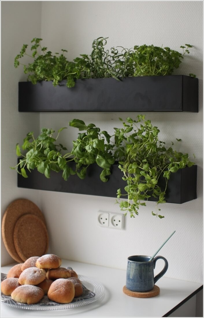 13 Cool Long Planter Ideas for Keen Gardeners