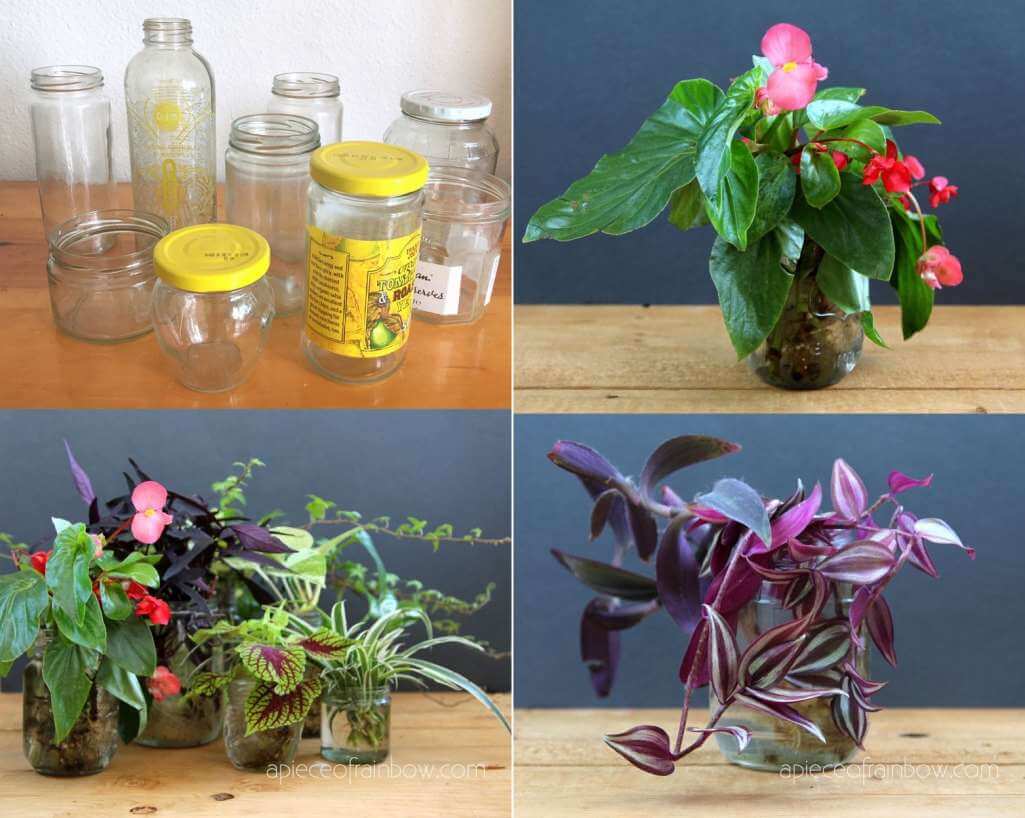 Indoor Water Garden Ideas