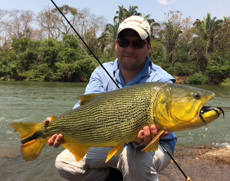 Freshwater Dorado Amazon Game Fishing Guide AmazonAngler