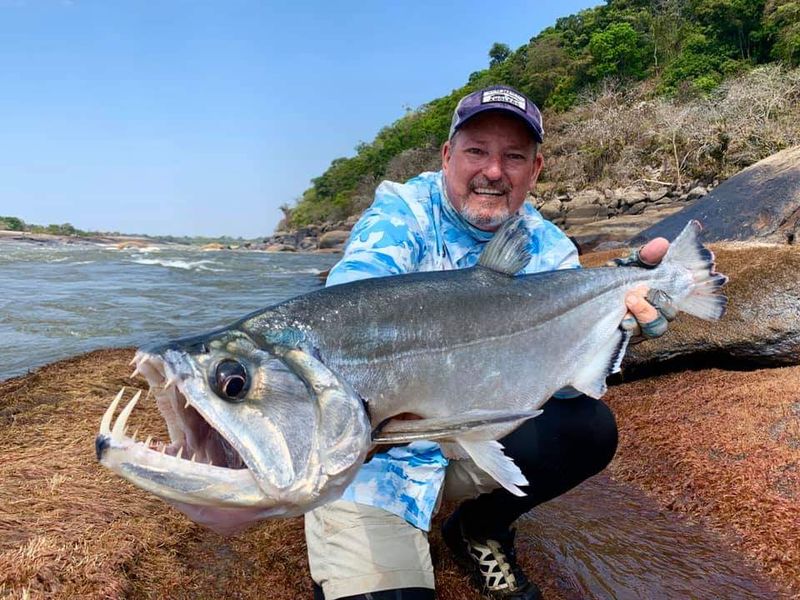 Amazon River Fish A Game Angler's Species Guide