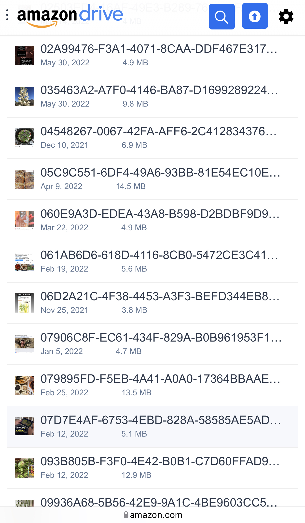 Why do my photos load in random mixed up order on AMAZON DRIVE (NOT