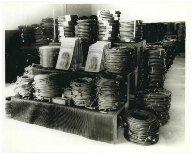 Amazon Hose Centennial is Featured in the Orlando Business Journal