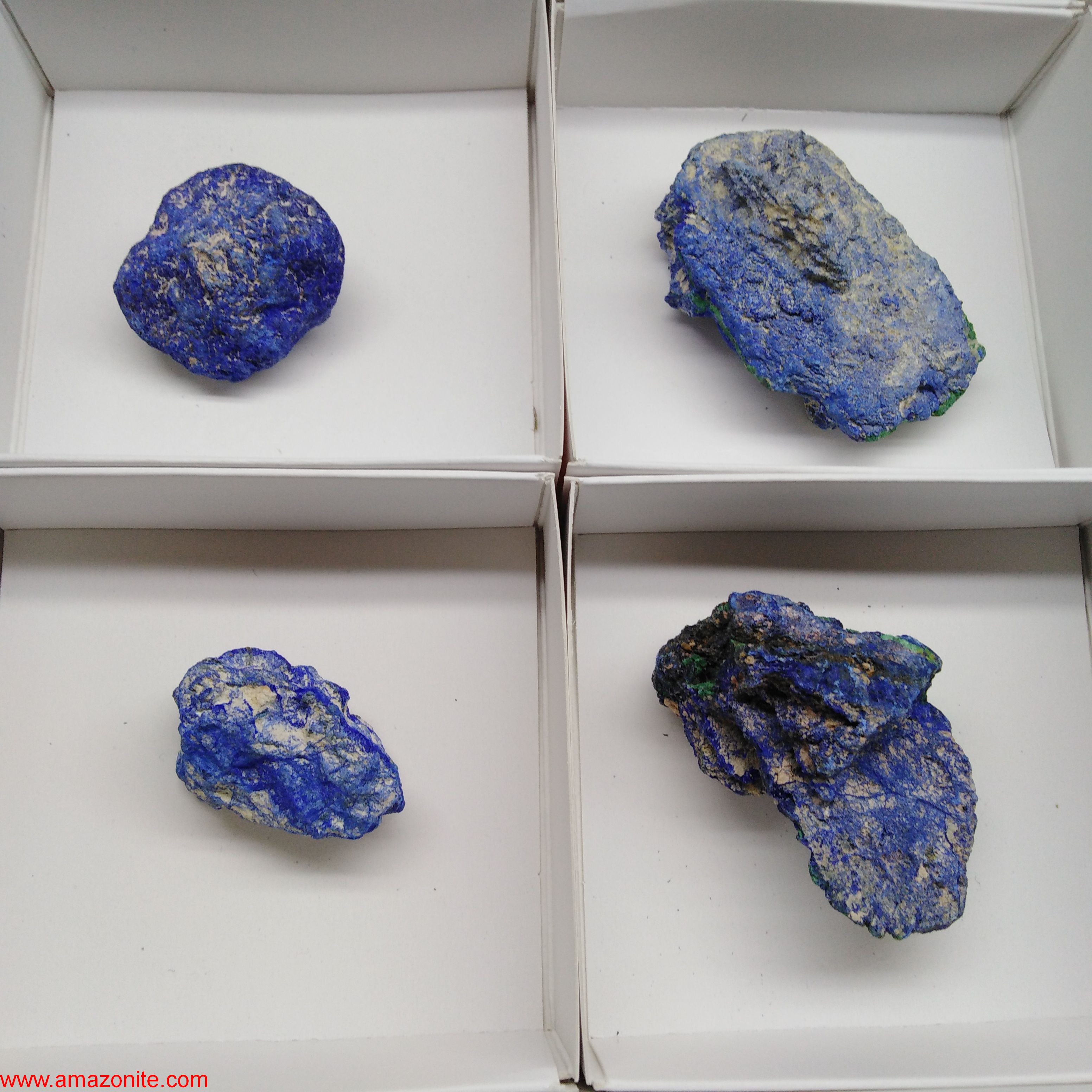 One Box of 12 Azurite Nodule Mineral Specimens From Congo (Sandy Cornwall) » AMAZONITE
