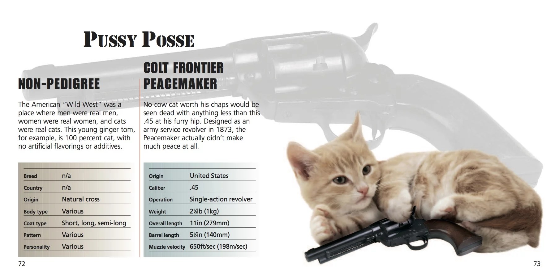 Cats with Guns Amber Books