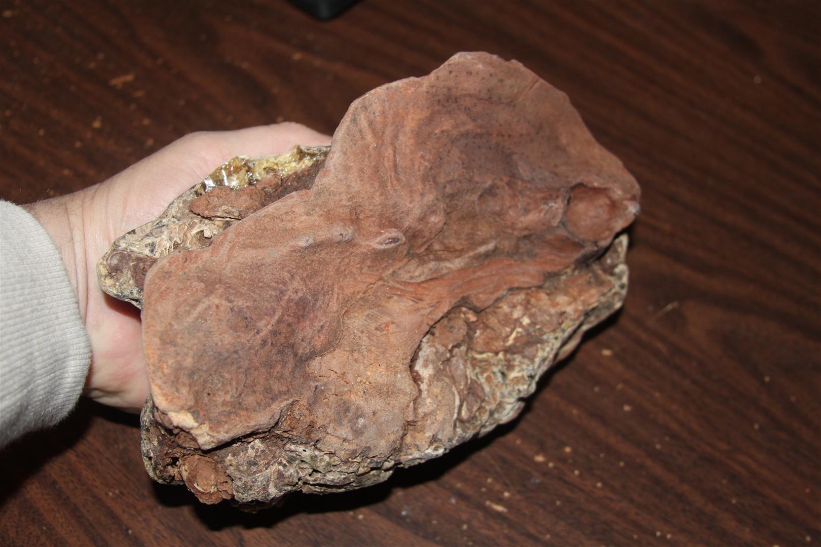 Kauri Gum in Wood Amberica West