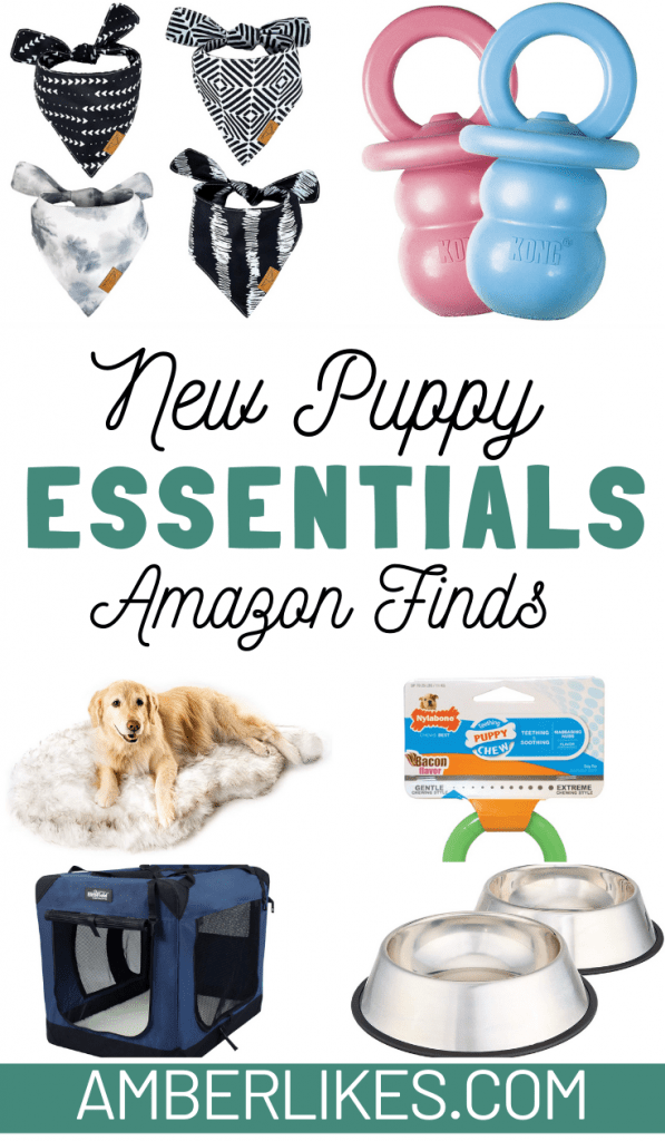 What Are The Essentials For A New Puppy