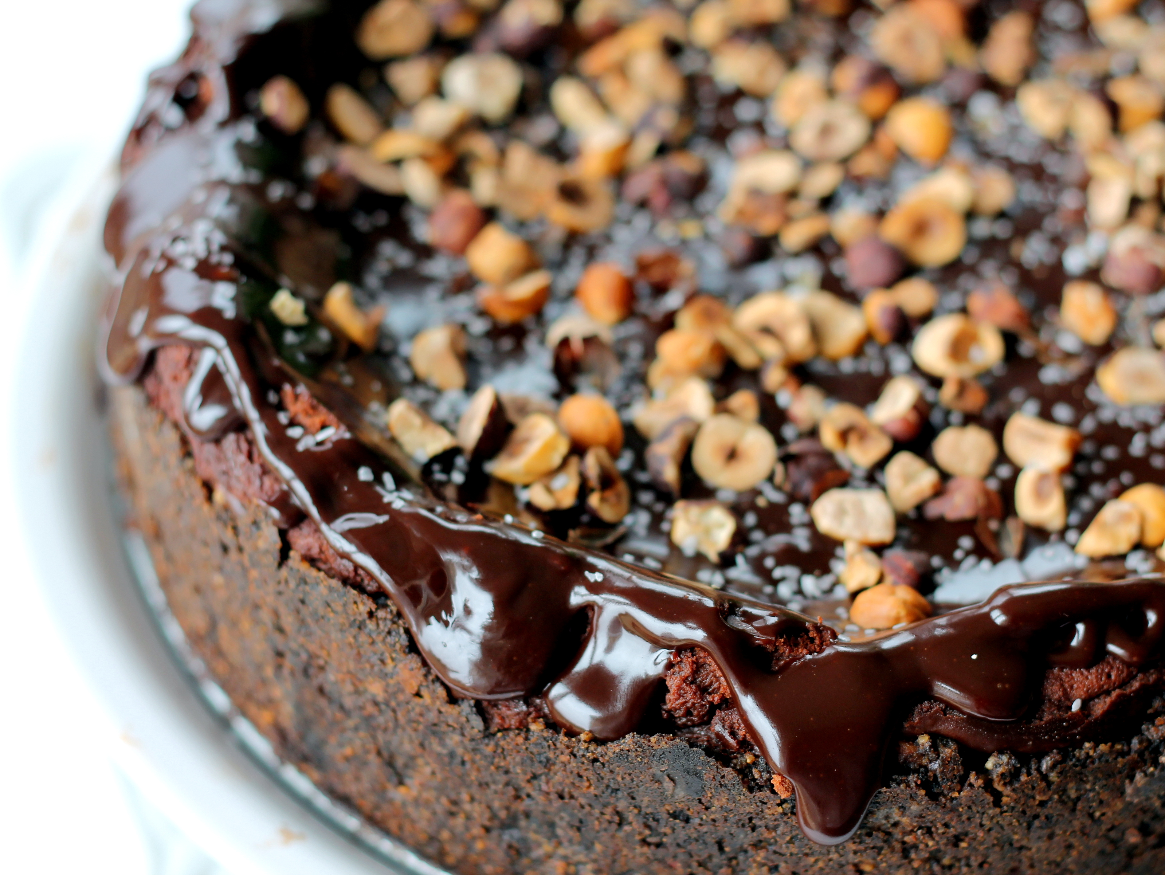 Dark Chocolate Cheesecake with Chocolate Hazelnut Ganache, Toasted