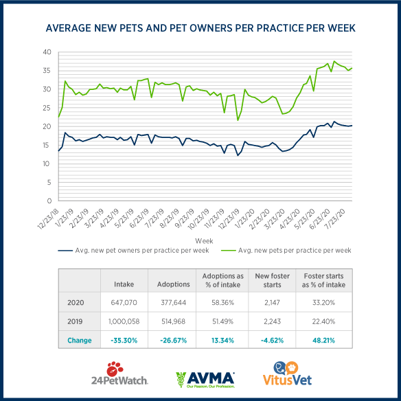 Has the COVID19 Pandemic Resulted in More Pets? The Animal Medical