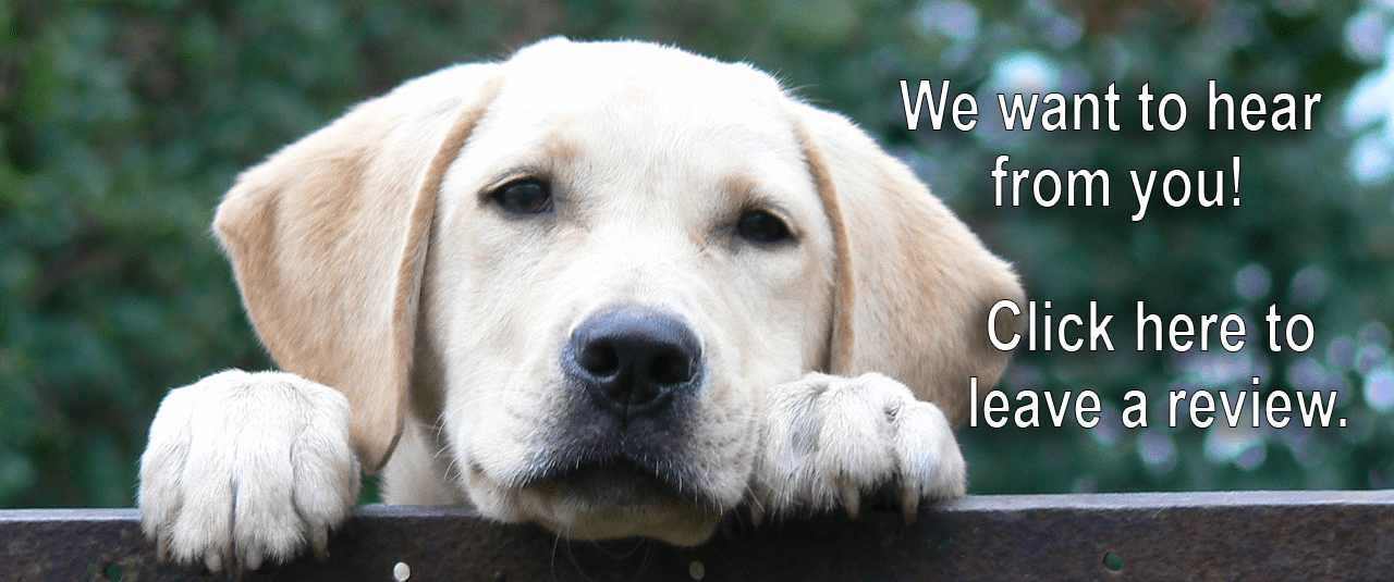 AMC Uniontown Animal Medical Center of Uniontown, PA Animal Medical