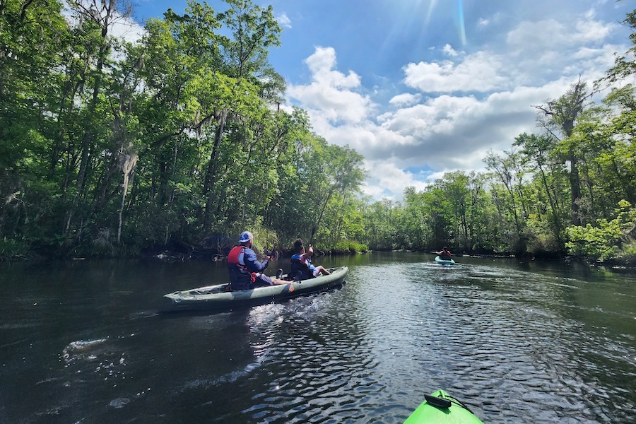 Your Guide to Kayaking On and Off Amelia Island Amelia Island