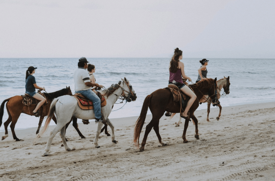Top Ways to Enjoy Horses on the Beach Amelia Island Vacation Rentals