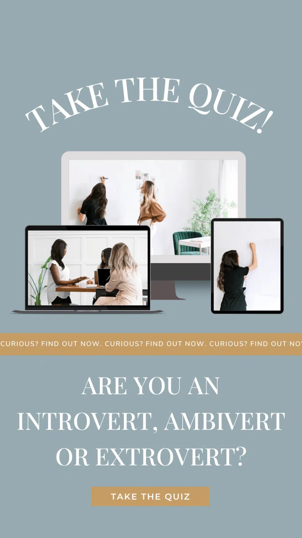 Are You An Introvert, Ambivert Or Extrovert? Quiz Amelior Partners