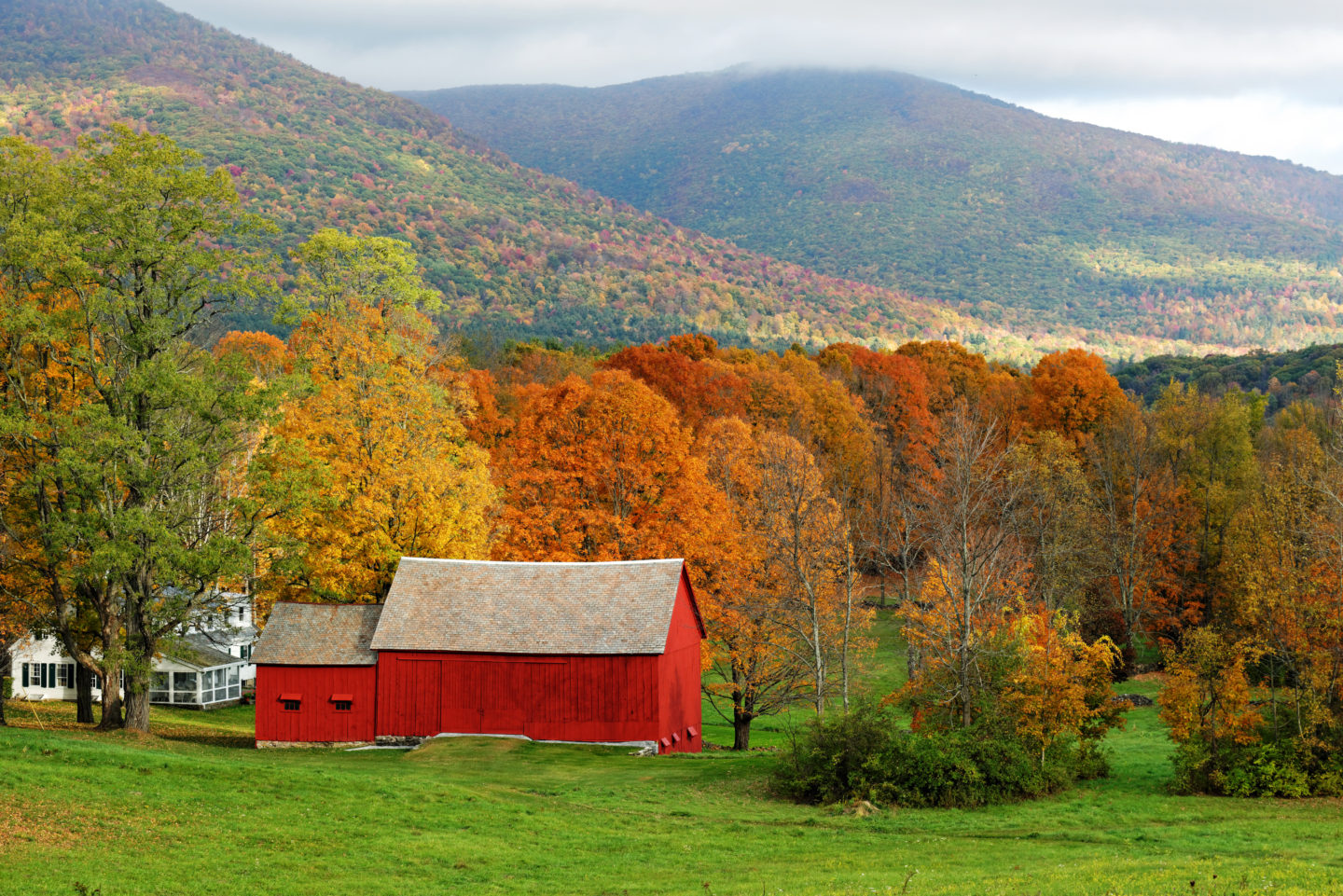 Best Fall Foliage Road Trips in the USA